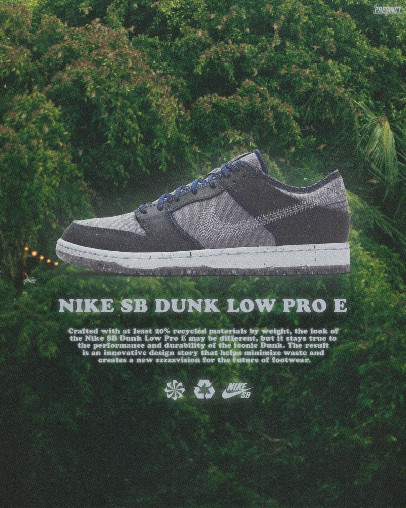 Nike Sb Dunk Low Pro E