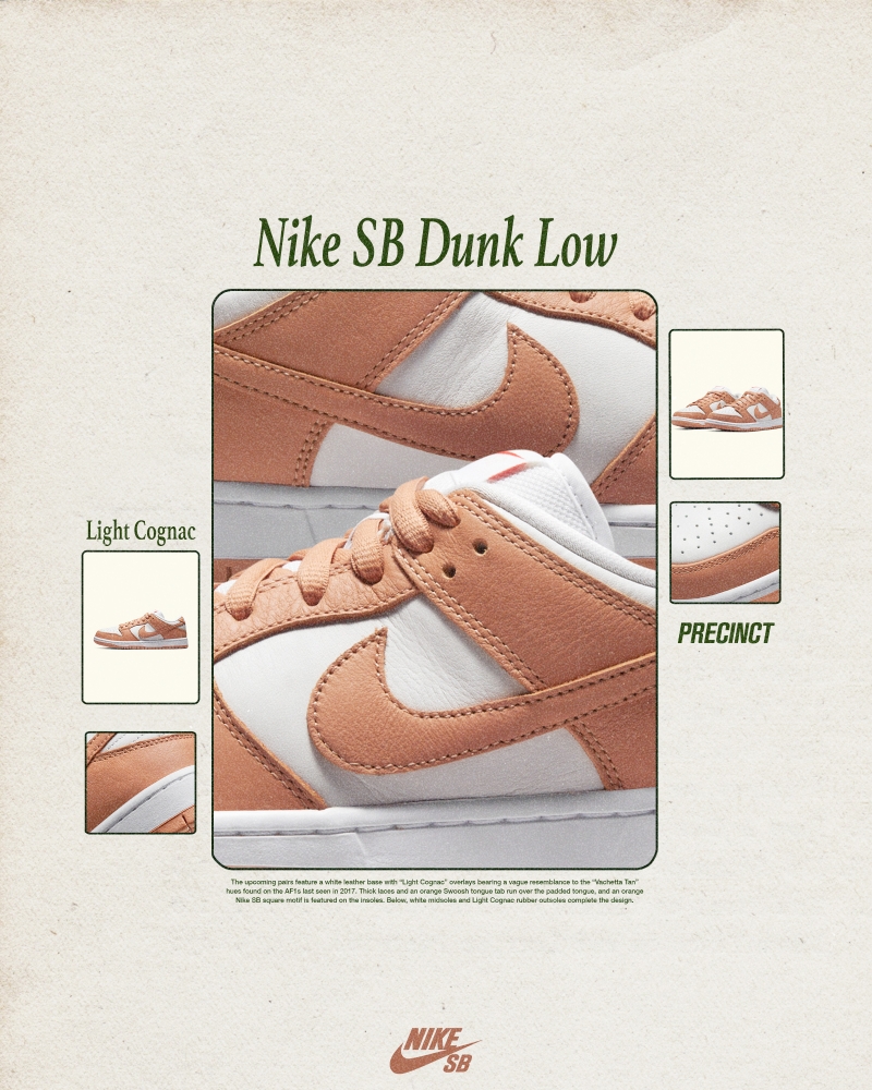 Nike Dunk Poster