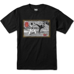 Dgk Bruce Lee Double Dragon Tee Precinct